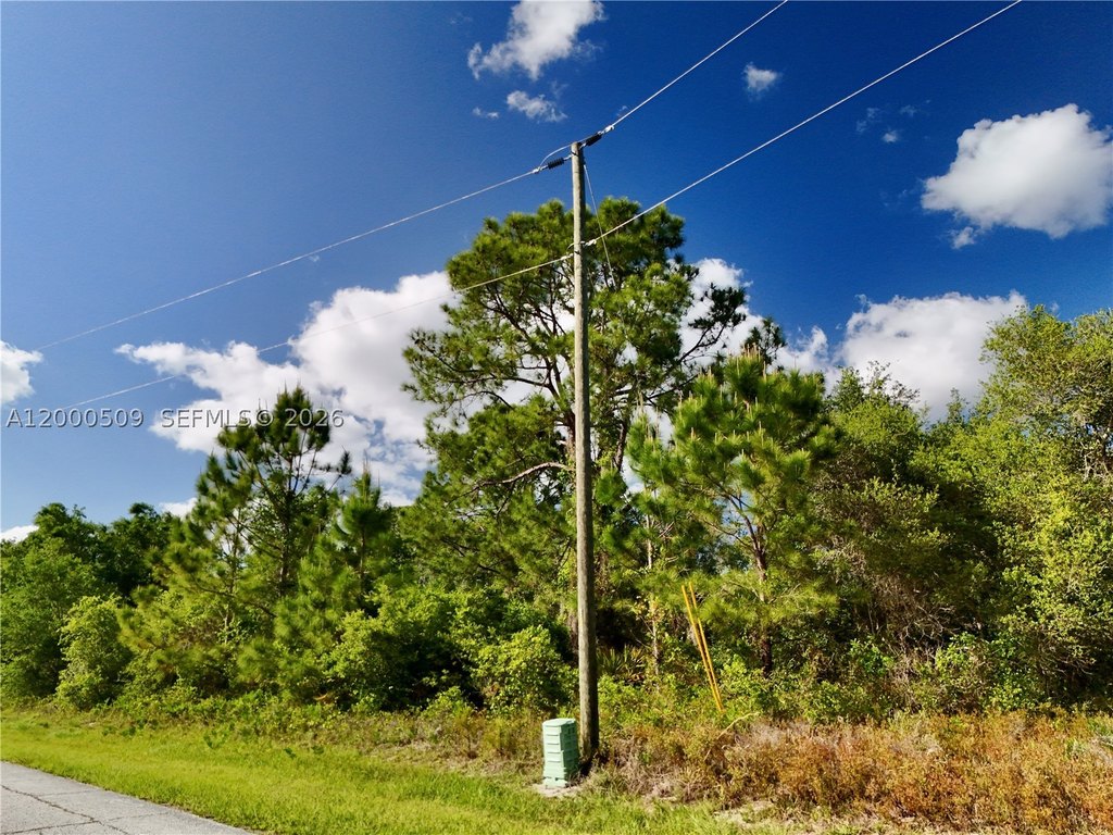 Picture 20