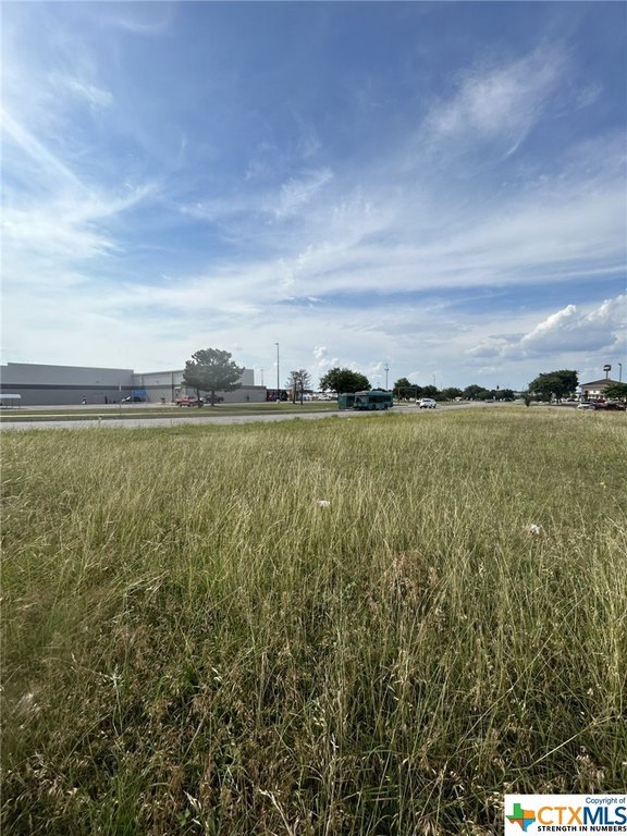 Picture 22