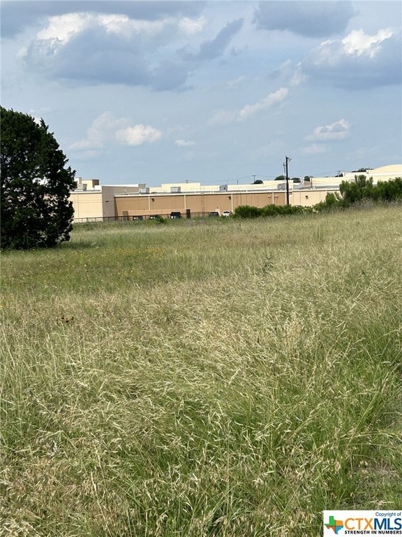 Picture 23