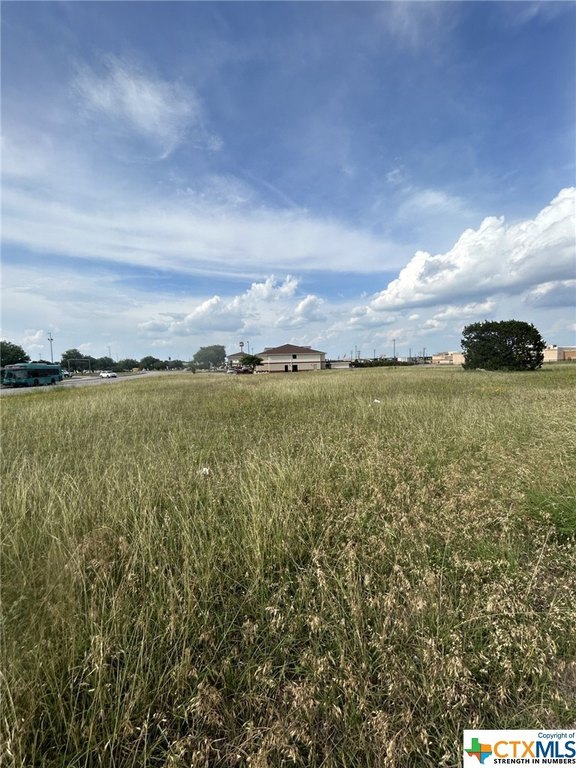 Picture 28
