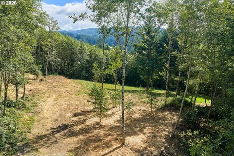 Ready-to-Build View Lot