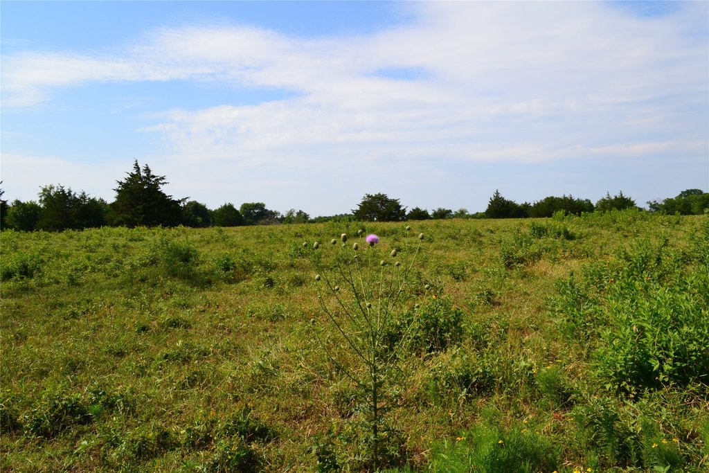 Picture 8