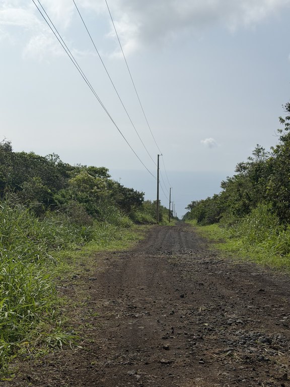 Picture 25