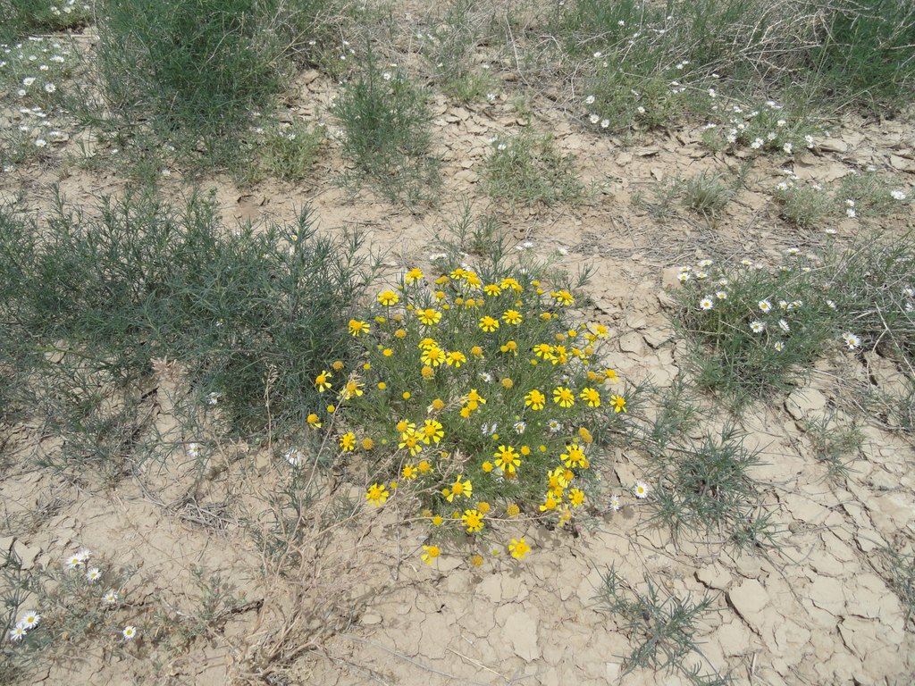 Picture 5
