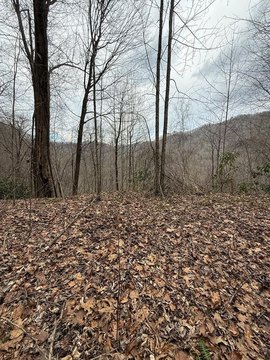 7.86 Acres in Bryson City