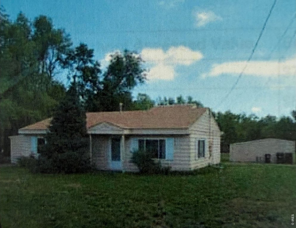 Picture 5