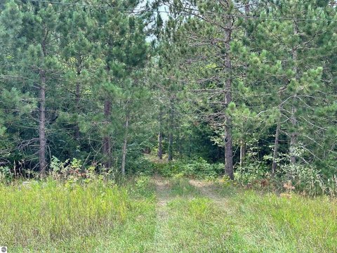 Vacant Lot/Land, Mancelona, MI
