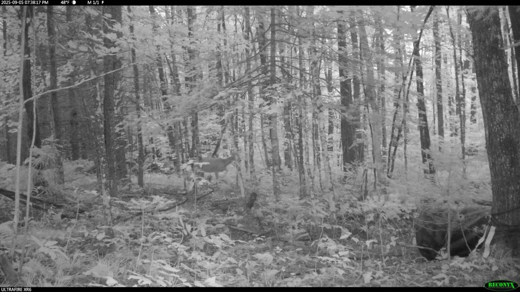 Picture 16