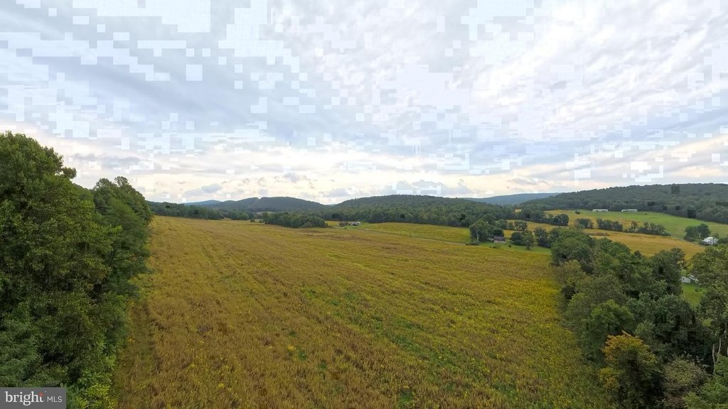 Picture 25