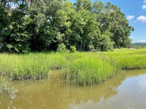 Waterfront Land on Julilenton River