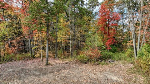 Land Parcel with Electrical Service