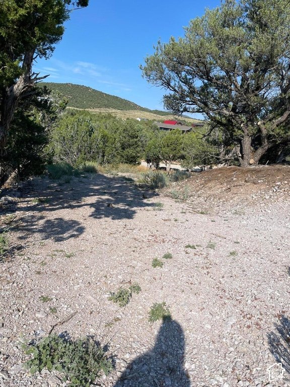Picture 6