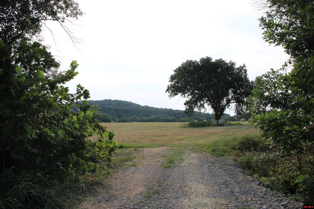 Picture 37