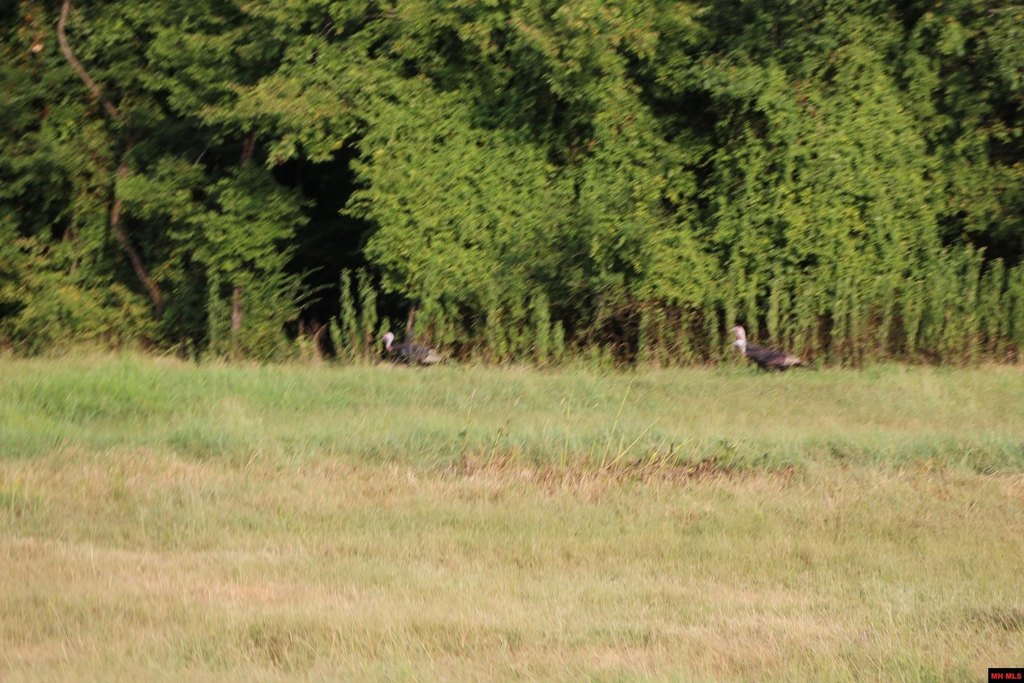 Picture 38
