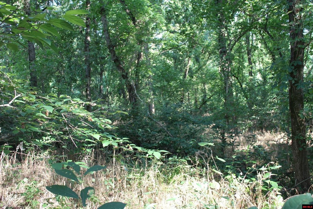 Picture 17