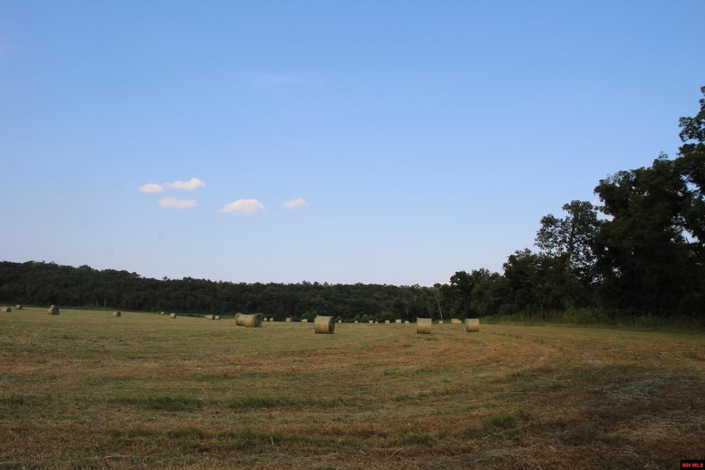 Picture 29