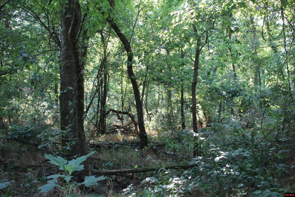 Picture 24