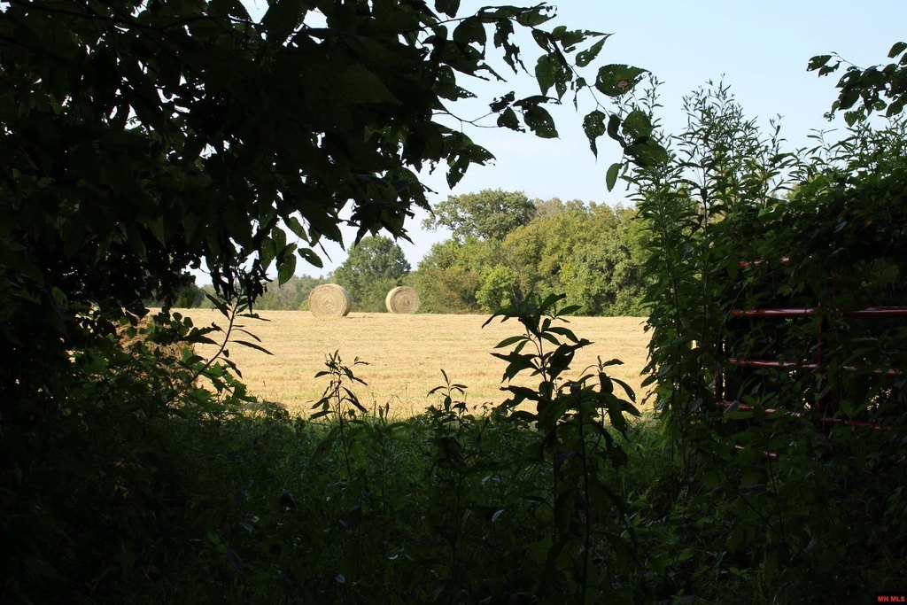 Picture 26