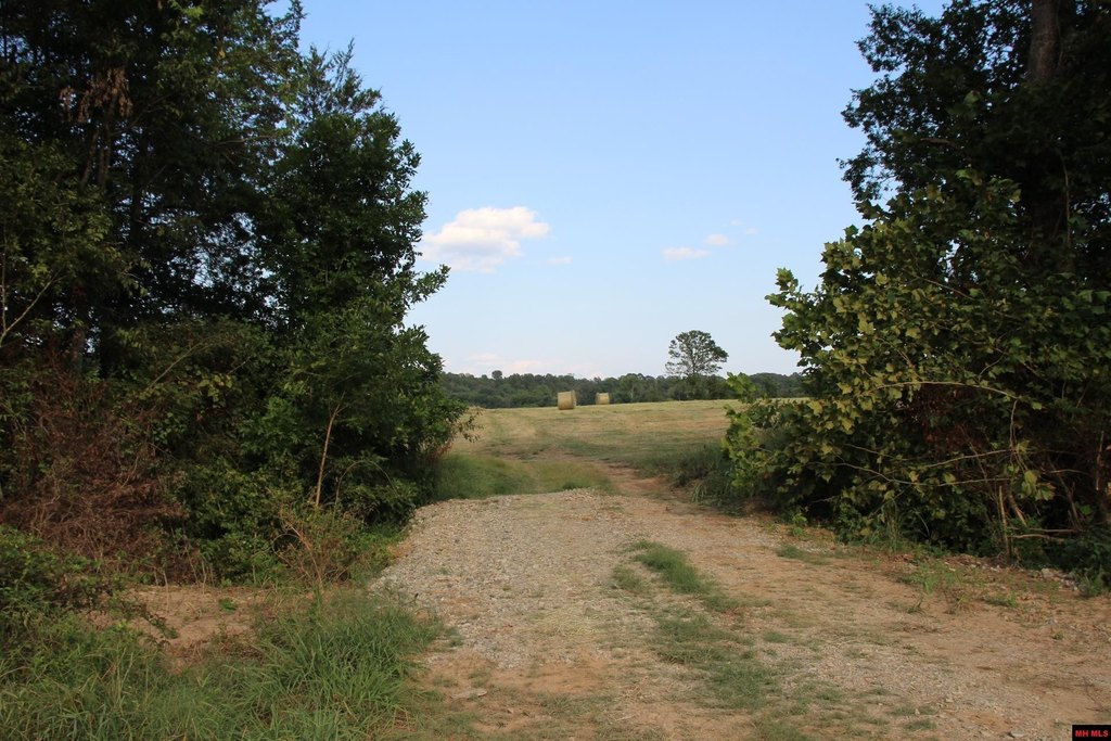 Picture 34