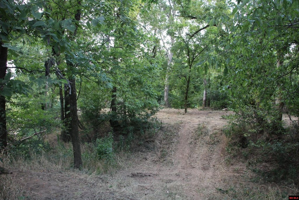 Picture 44