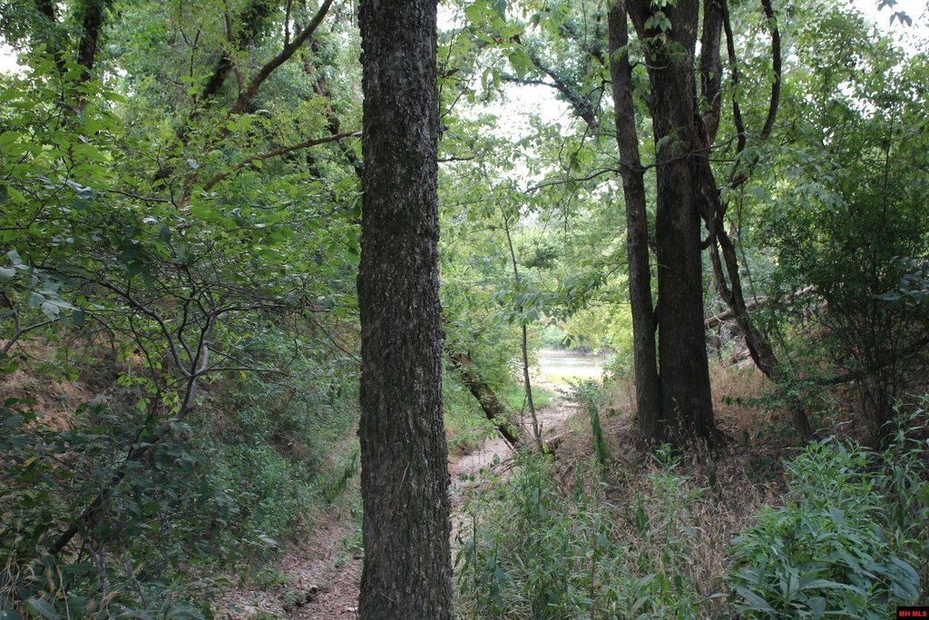 Picture 45