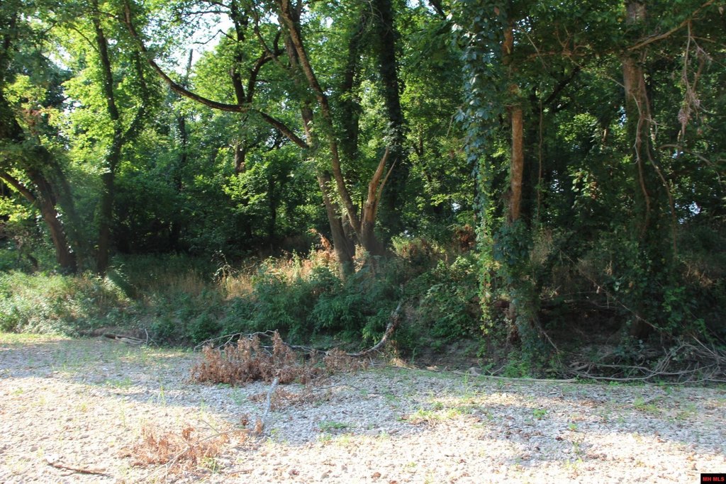 Picture 21