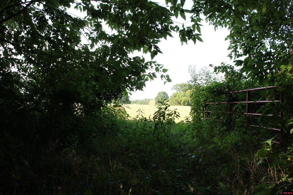 Picture 25