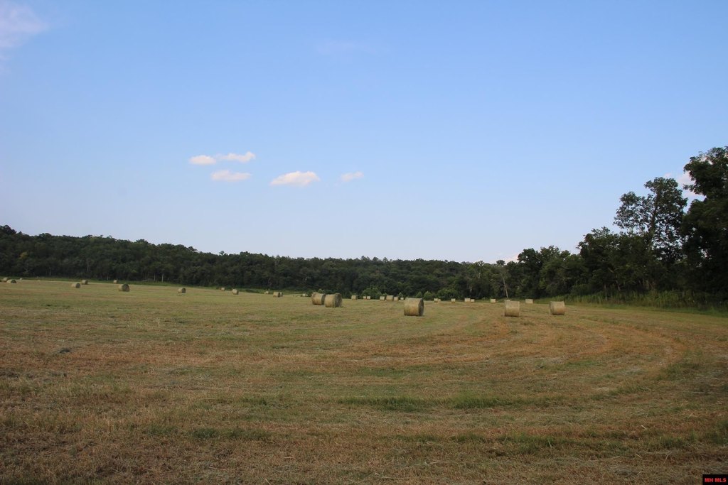 Picture 31
