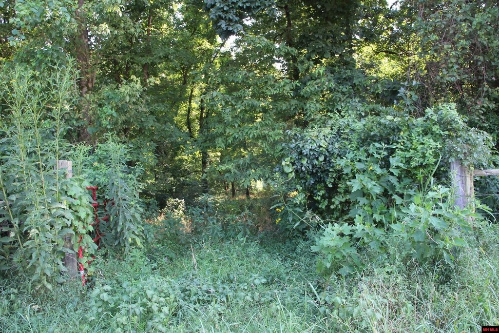 Picture 16