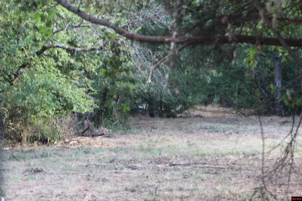 Picture 41