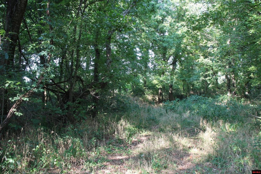 Picture 23