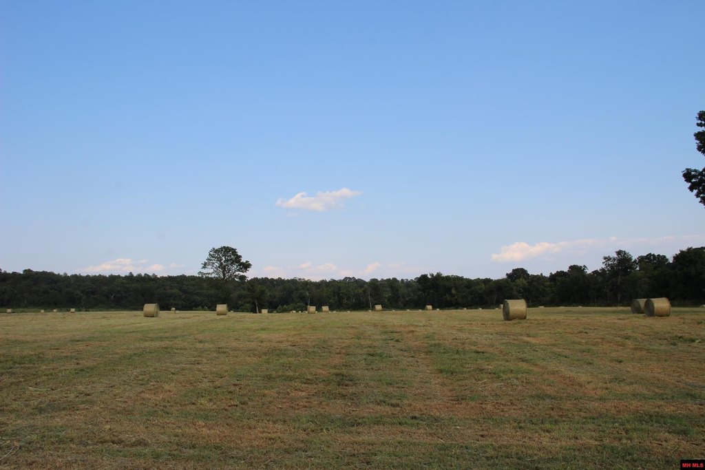 Picture 28