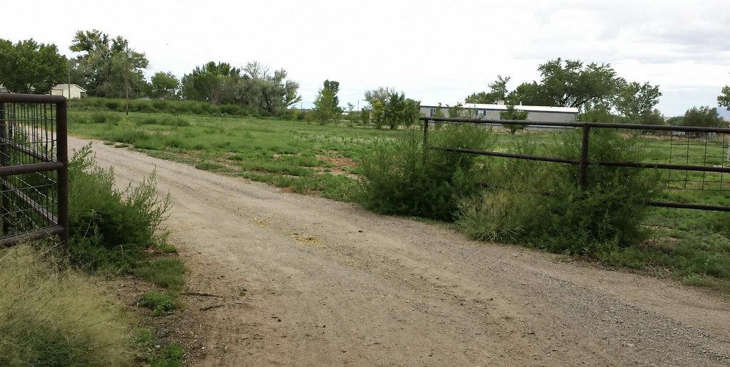 Picture 3