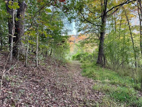 LAND - Beattyville, KY