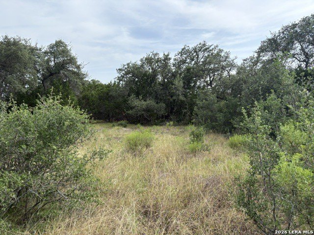 Picture 16