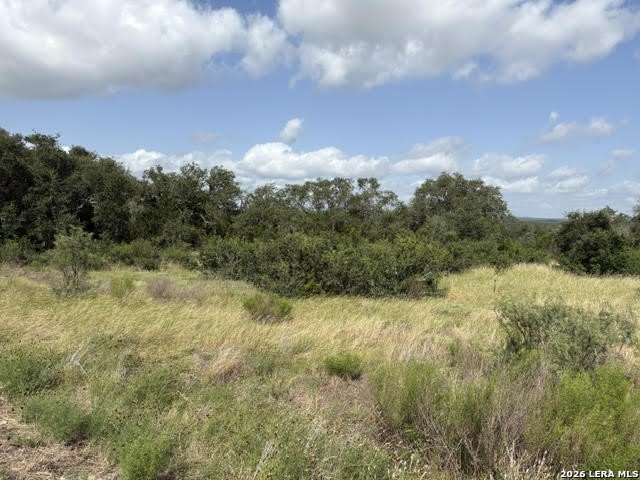 Picture 16