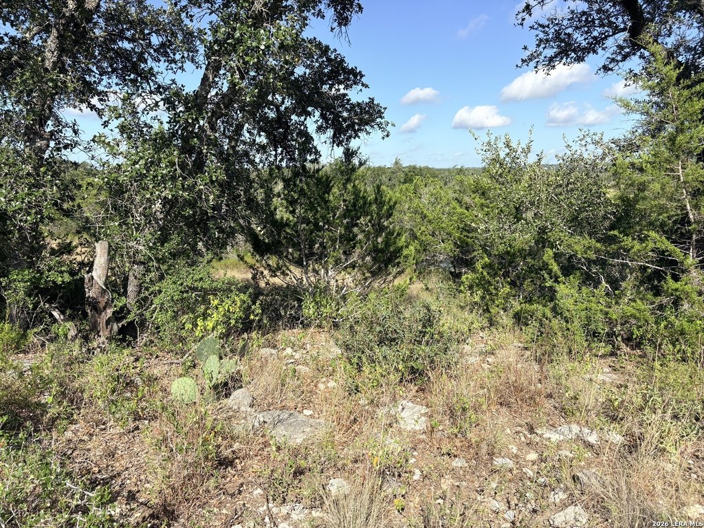 Picture 18