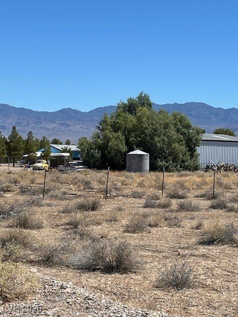Picture 11