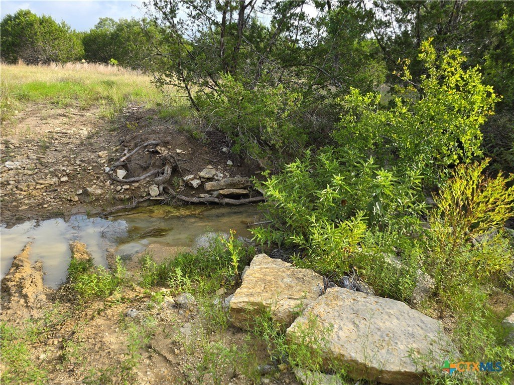 Picture 40