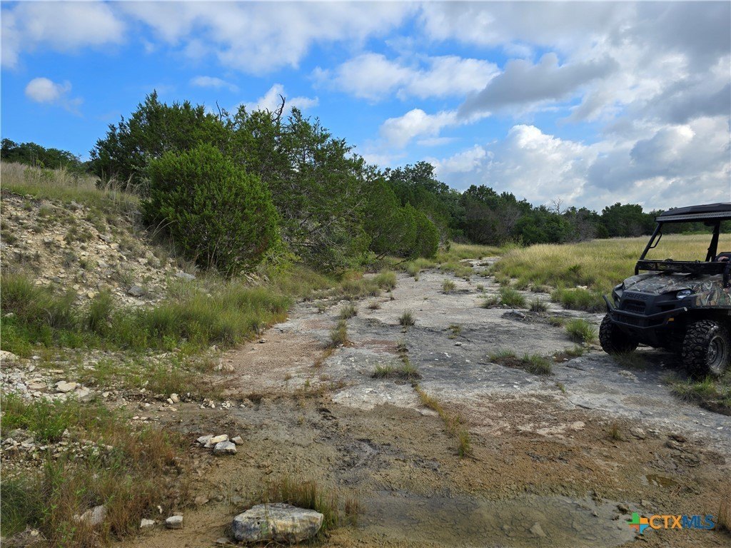 Picture 41