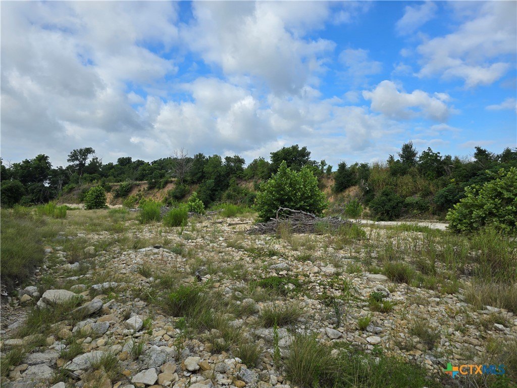 Picture 43