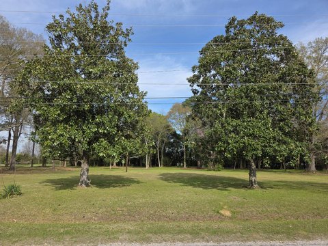 Vacant Land in Bennettsville, SC