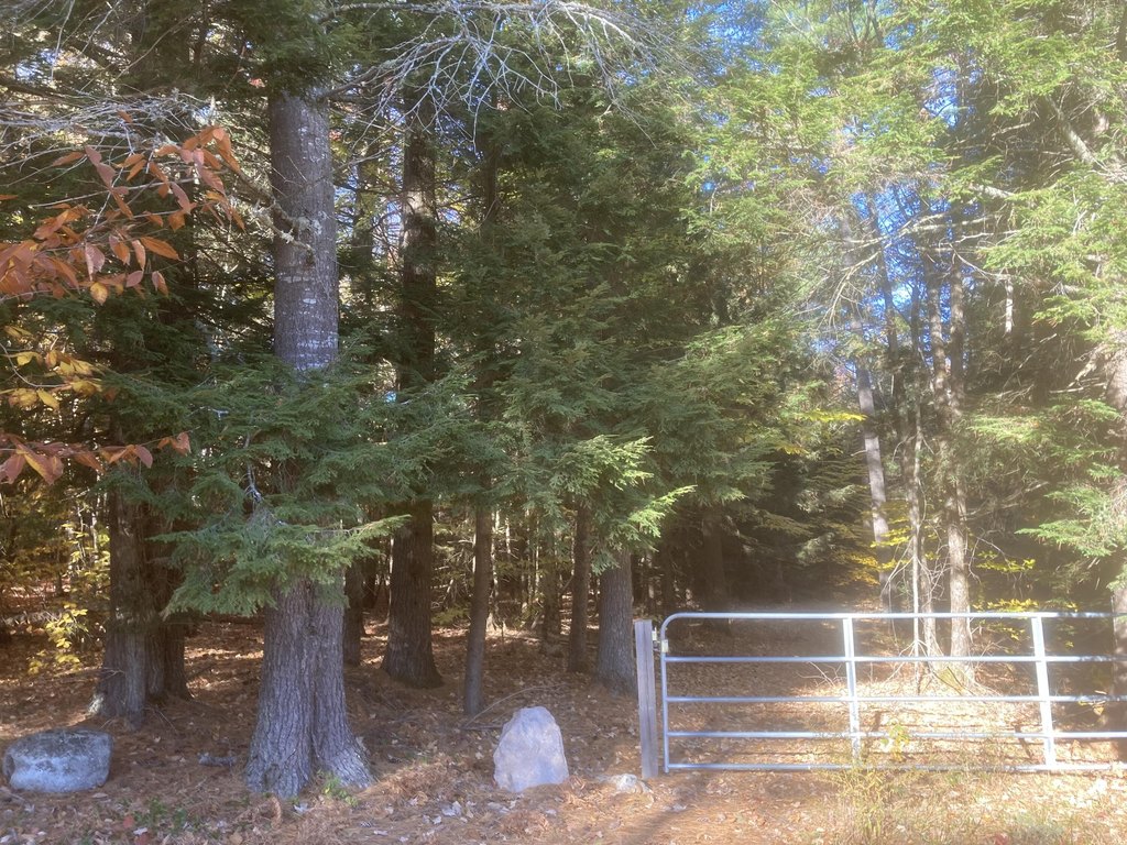 Picture 5