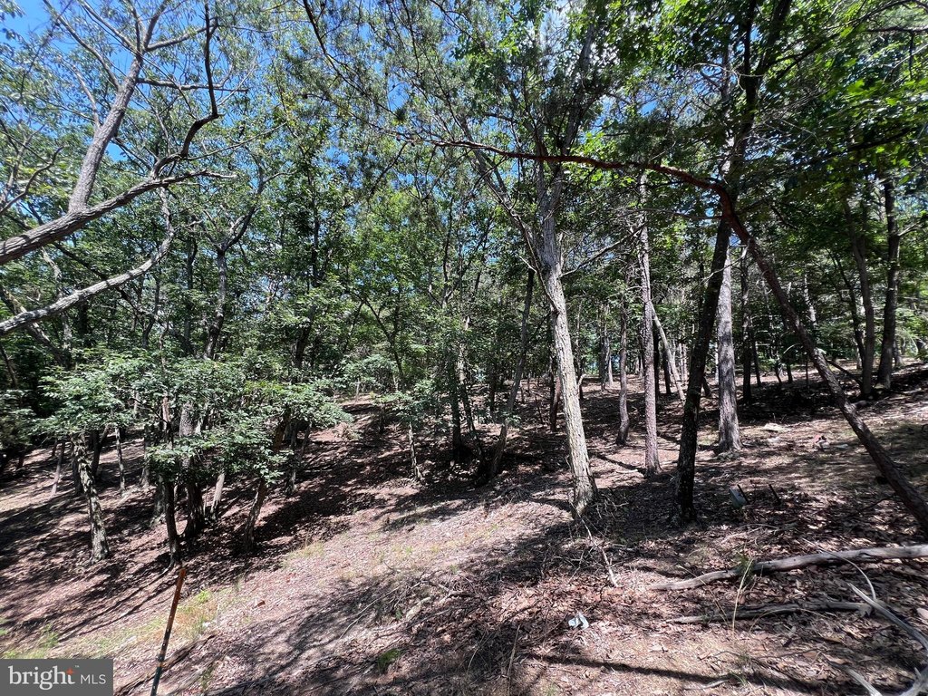 Picture 16
