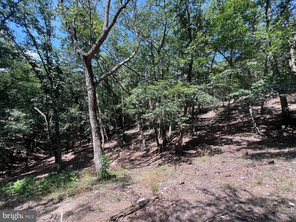 Picture 18