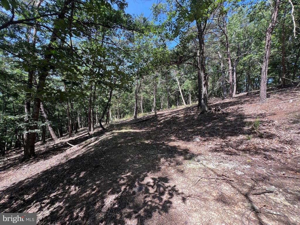 Picture 19