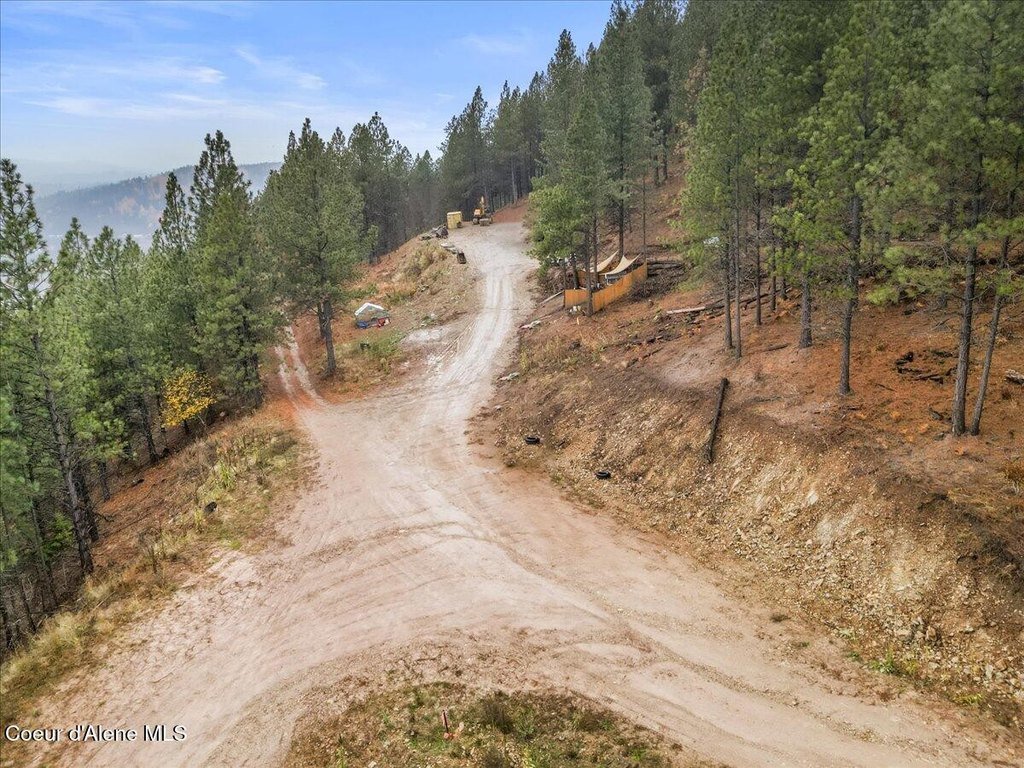 Picture 2