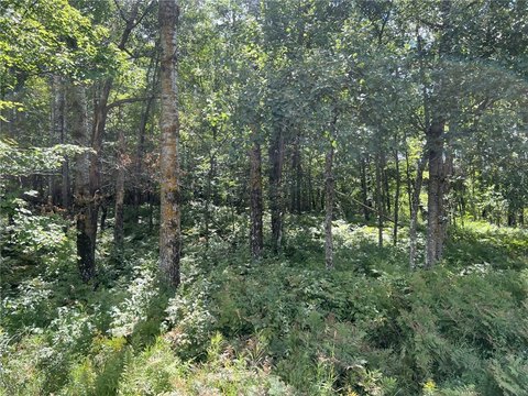 Wooded Land Near Siren, WI
