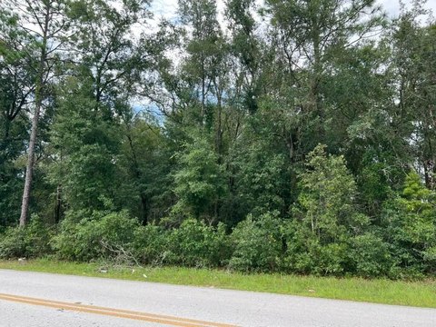 Land, OCKLAWAHA, FL