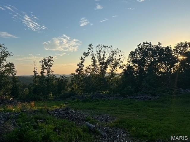 Ozark Mountain Land with View